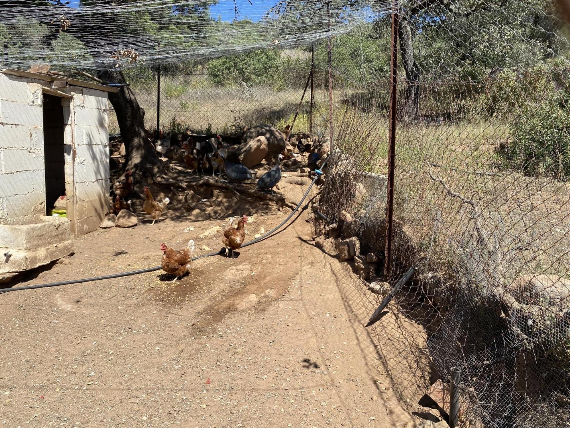 Las Chorreras Del Orejon 2 Villaviciosa de Córdoba エクステリア 写真