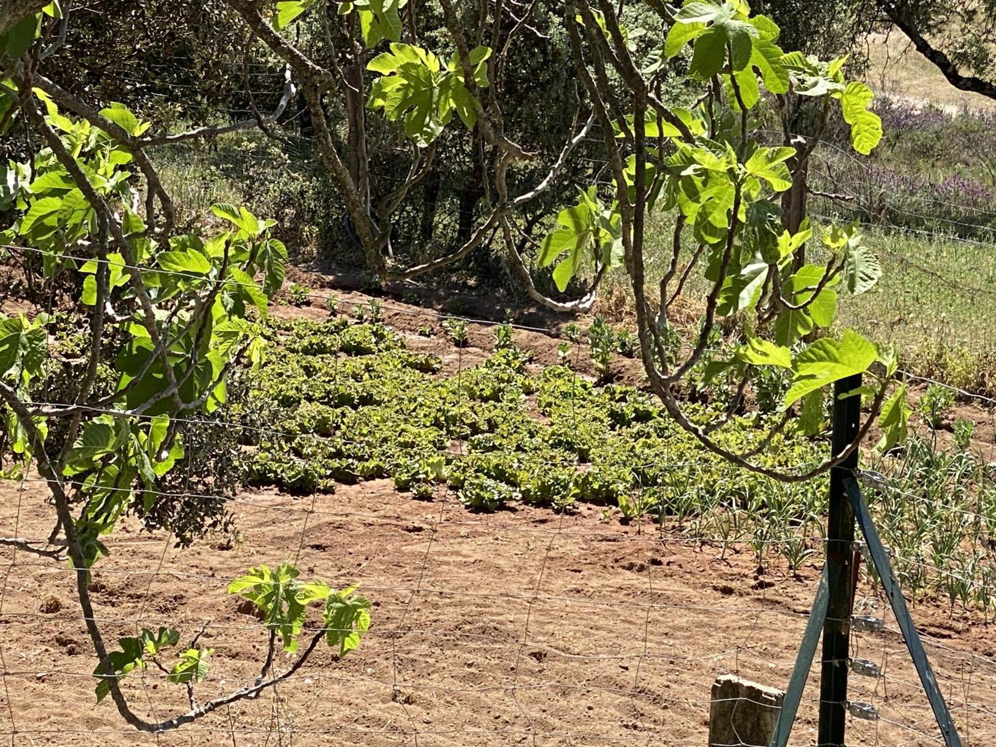 Las Chorreras Del Orejon 2 Villaviciosa de Córdoba エクステリア 写真